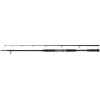 SHIMANO Beastmaster Catfish Lure 2.20m 120g 2sec. rod for predator fishing.