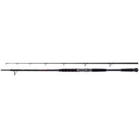SHIMANO Beastmaster Catfish Lure 2.20m 120g 2sec. rod for predator fishing.