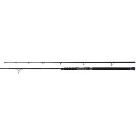 SHIMANO Beastmaster Catfish Multi 2.30m 200g 2sec. heavy duty fishing rod.